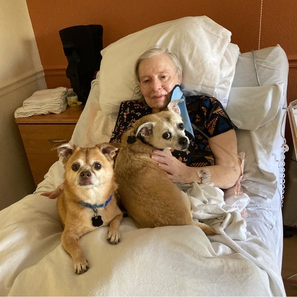 Meet your Posher, Posh - Picture 6 of 9